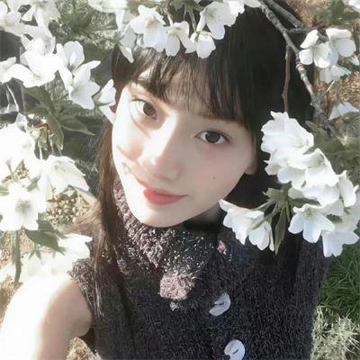 长相思第二季